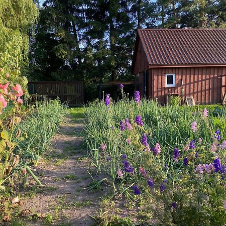 Agroturystyka Omelia Człuchów Esterno foto