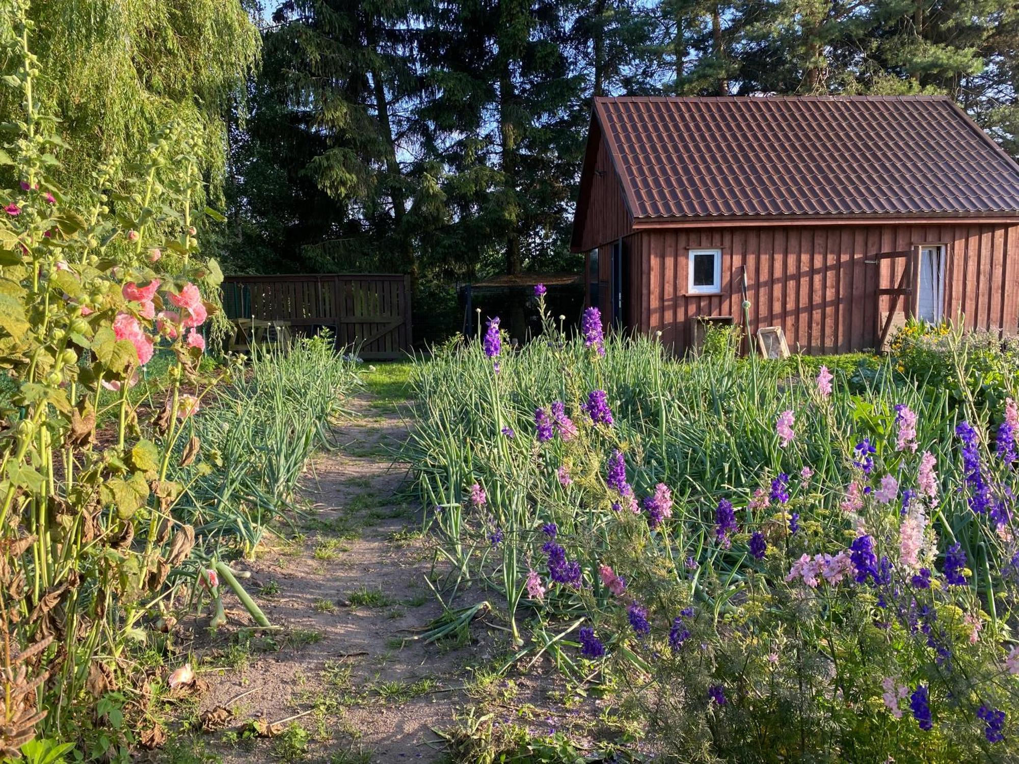 Agroturystyka Omelia Człuchów Esterno foto